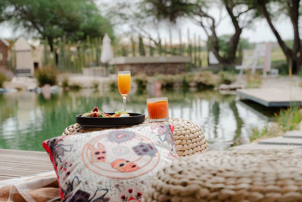 Campera Hotel Burbuja