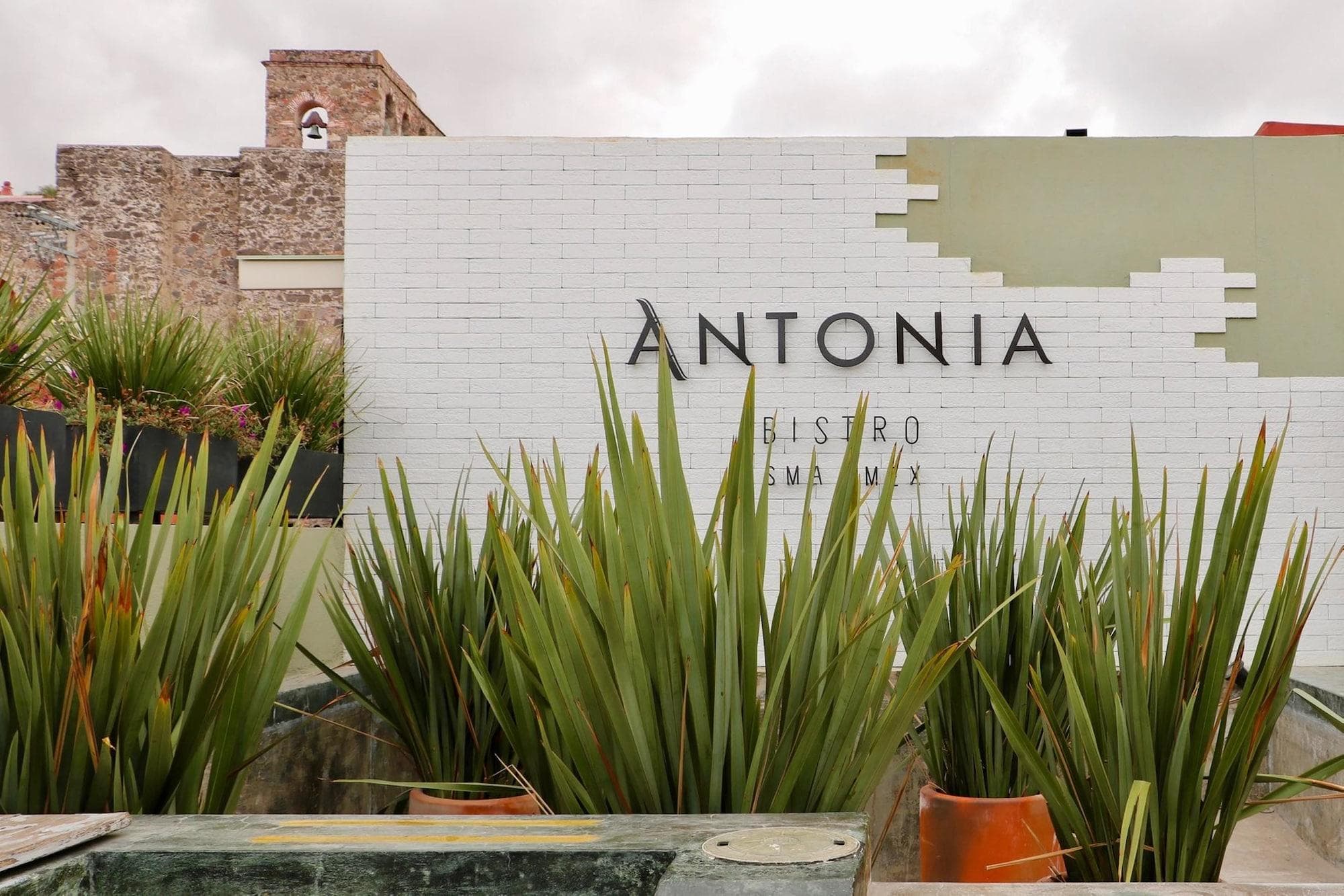Hotel El Palomar — Hotel in Centro, San Miguel de Allende